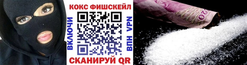КОКАИН Fish Scale  Купить закладки  Пласт 