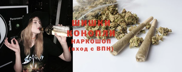 стафф Богородск
