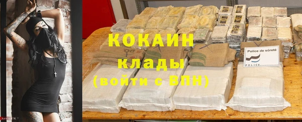 стафф Богородск