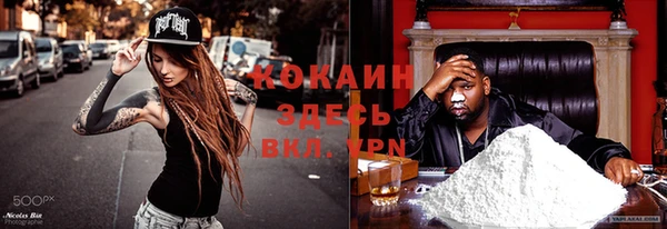 стафф Богородск