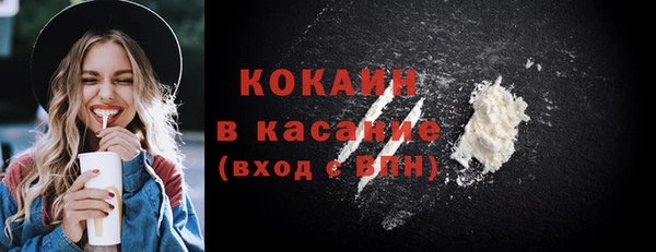 шишки Белоозёрский