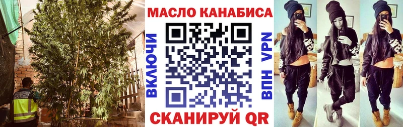 ТГК концентрат  Купить где  Пласт 