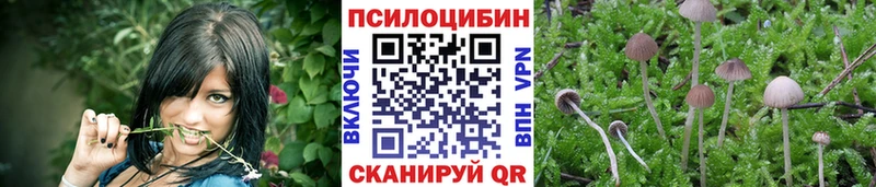 Купить  Пласт  Псилоцибиновые грибы прущие грибы 